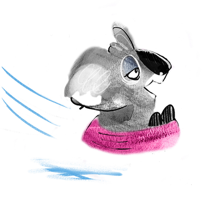 children's illustration of a koala bear sliding in a tube